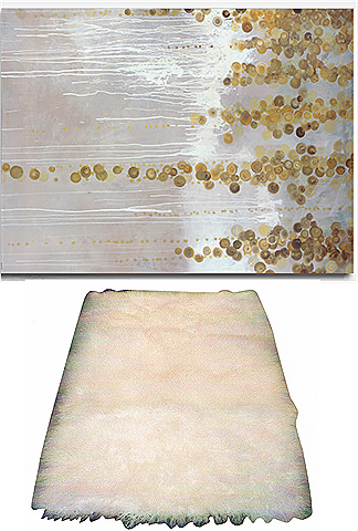 book of ra fur windows 8 book of ra fur windows 8